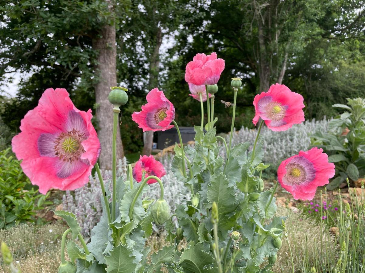 Le Bos Dordogne * Soulaures